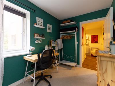 Picture 13